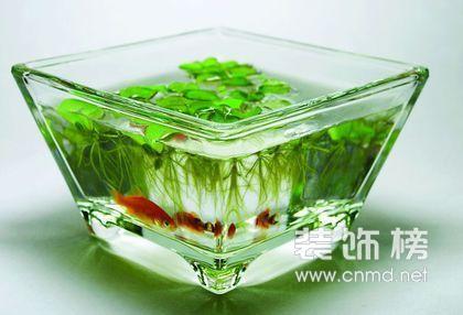 点击跳转到下一页