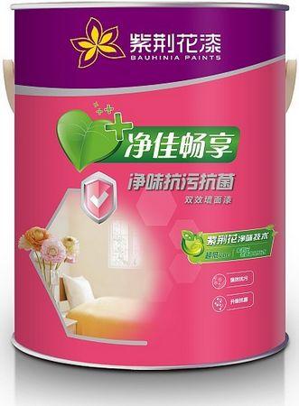 乳胶漆、涂料:普通涂料