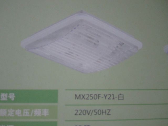灯具:其他灯