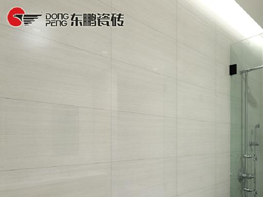 东鹏瓷砖 LN63846