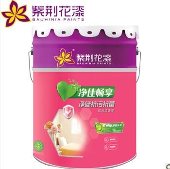 净味抗污抗菌双效墙面漆15L 内墙乳胶漆 面漆 油