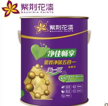 金装净味五合一内墙乳胶漆5L 面漆 分解甲醛 涂料