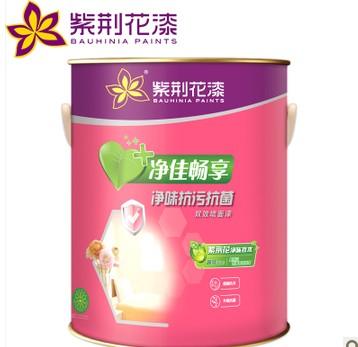 净味抗污抗菌双效墙面漆 5L 内墙乳胶漆 面漆 油
