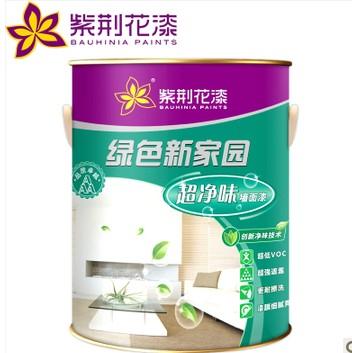 绿色新家园 超净味墙面漆 5L 内墙乳胶漆 油漆/