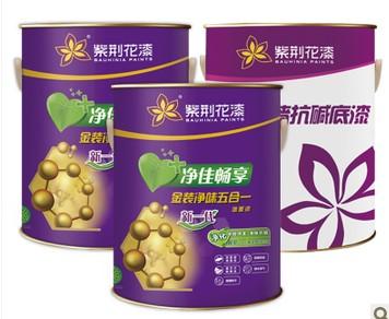 金装净味五合一内墙乳胶漆 套装(面漆5L*2+底漆