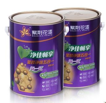 金装净味五合一内墙面漆乳胶漆2桶装