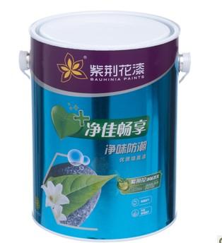 净味防潮优质墙面漆5L内墙乳胶漆 面漆 优等品油漆