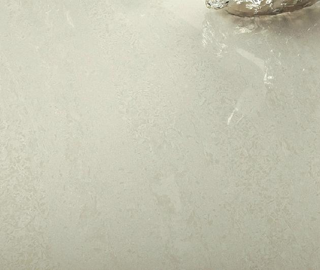 玻化砖 抛光砖 纳福娜瓷砖600 