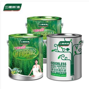呼吸无添加套装 油漆涂料
