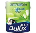 油漆消基清漆紫经花