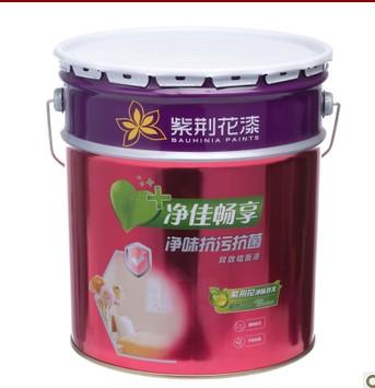 净味抗污抗菌双效墙面漆15L 内墙乳胶漆 面漆 油